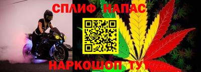 apvp Тверь